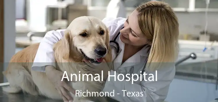 Animal Hospital Richmond - Texas