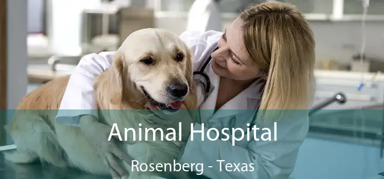 Animal Hospital Rosenberg - Texas