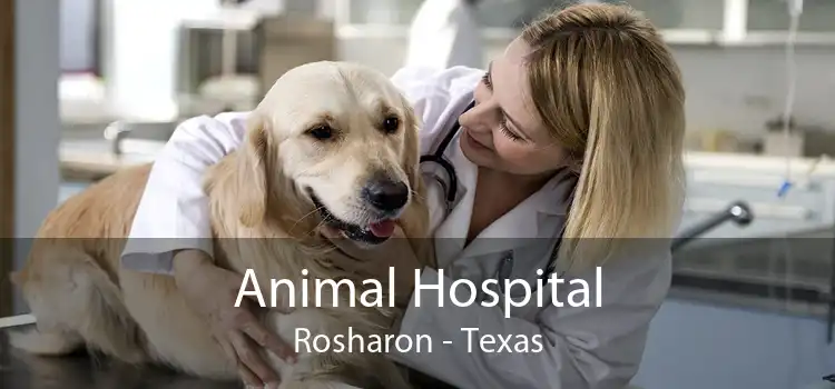 Animal Hospital Rosharon - Texas