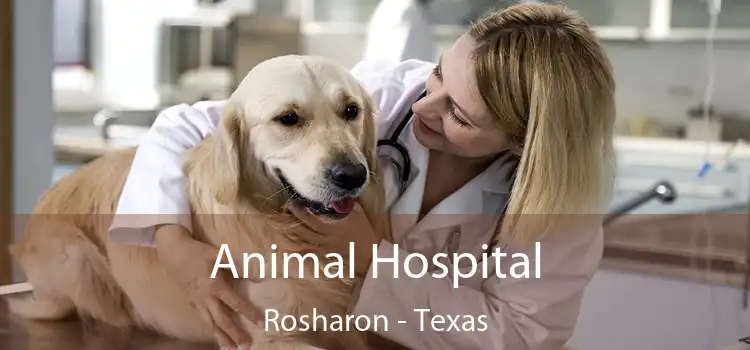 Animal Hospital Rosharon - Texas