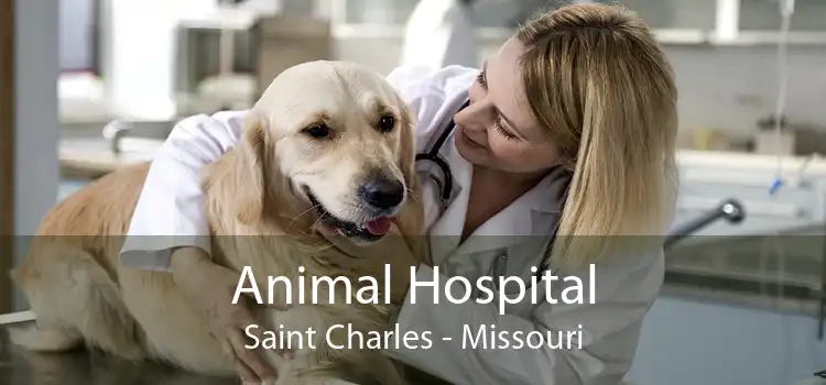 Animal Hospital Saint Charles - Missouri