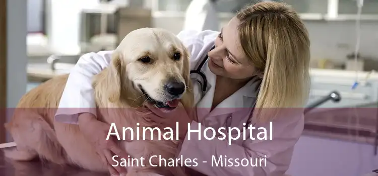 Animal Hospital Saint Charles - Missouri