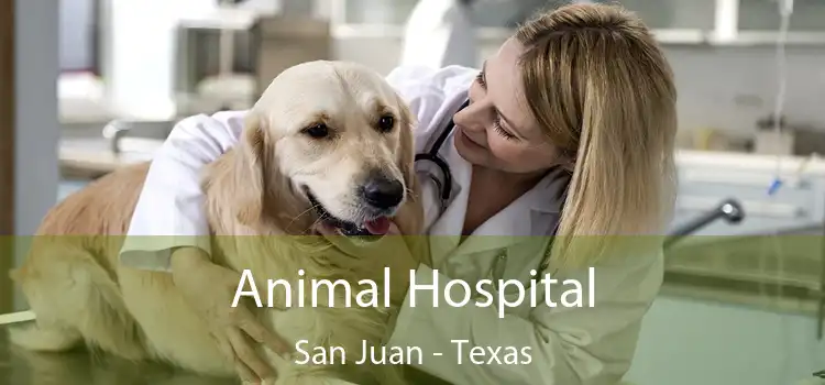 Animal Hospital San Juan - Texas