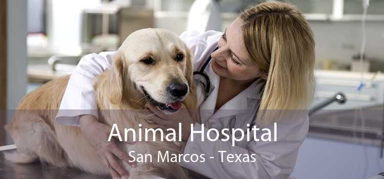 Animal Hospital San Marcos - Texas