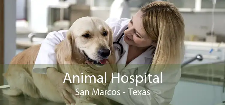 Animal Hospital San Marcos - Texas