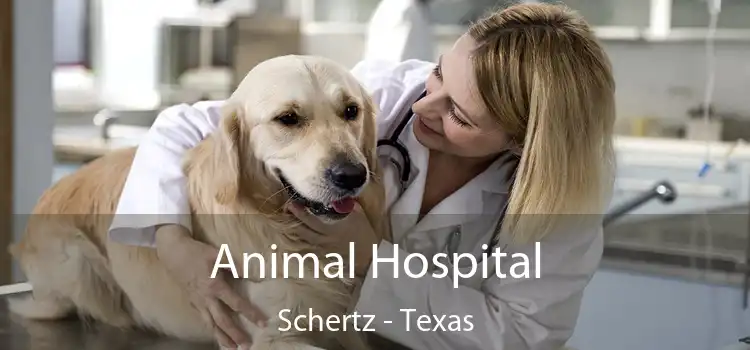 Animal Hospital Schertz - Texas