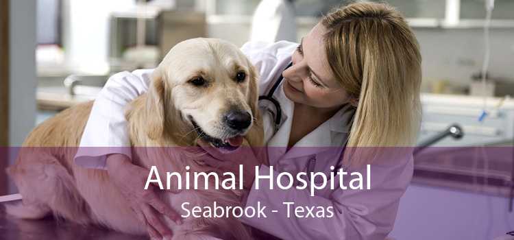 Animal Hospital Seabrook - Texas