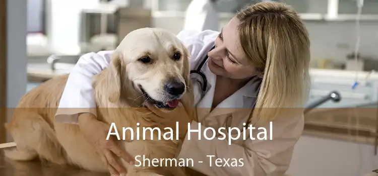 Animal Hospital Sherman - Texas