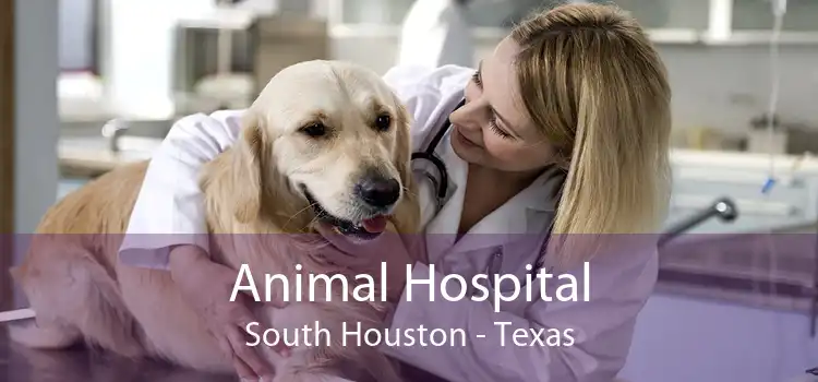 Animal Hospital South Houston - Texas