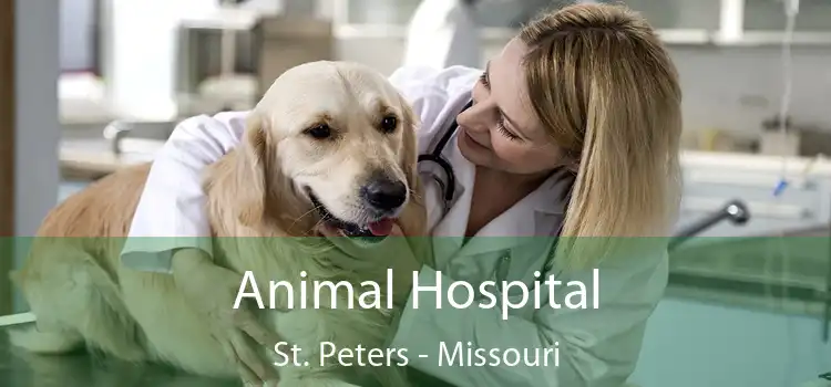 Animal Hospital St. Peters - Missouri