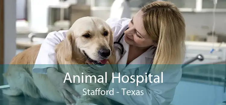 Animal Hospital Stafford - Texas