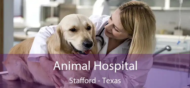 Animal Hospital Stafford - Texas