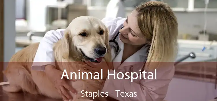 Animal Hospital Staples - Texas