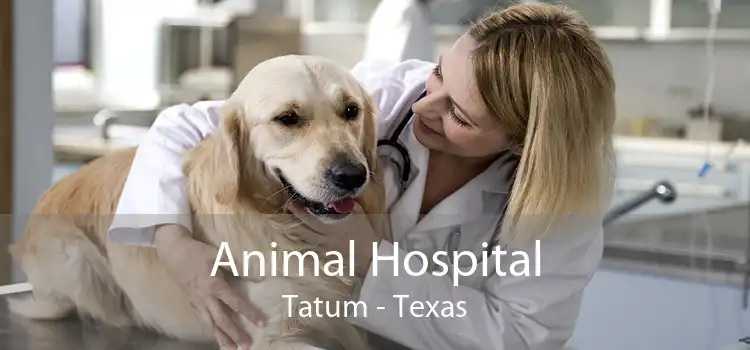 Animal Hospital Tatum - Texas