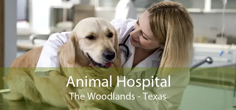 Animal Hospital The Woodlands - Texas