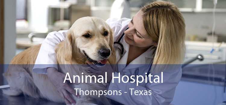 Animal Hospital Thompsons - Texas