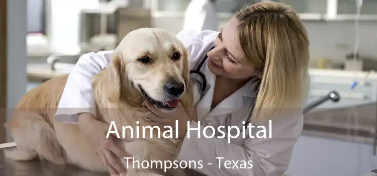 Animal Hospital Thompsons - Texas