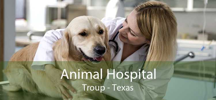 Animal Hospital Troup - Texas