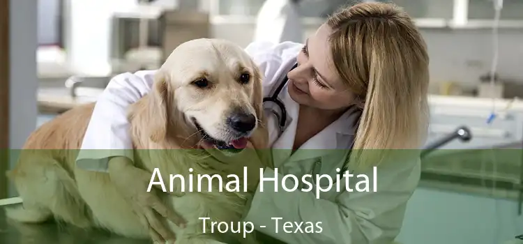 Animal Hospital Troup - Texas