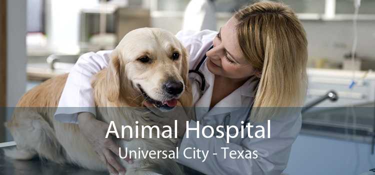 Animal Hospital Universal City - Texas