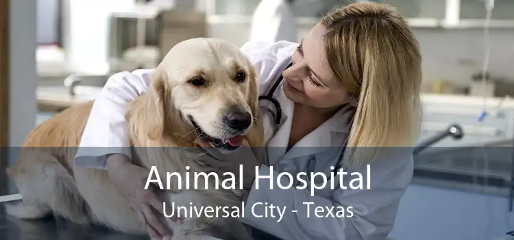 Animal Hospital Universal City - Texas