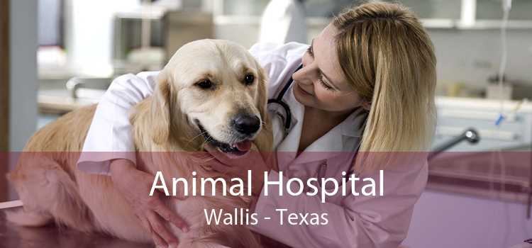Animal Hospital Wallis - Texas