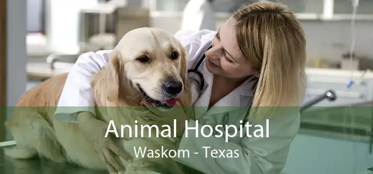 Animal Hospital Waskom - Small, Affordable, And Emergency Animal Hospital