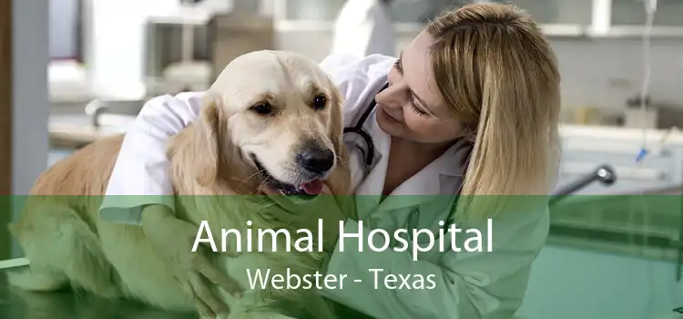 Animal Hospital Webster - Texas