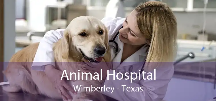 Animal Hospital Wimberley - Texas