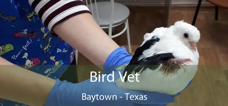 Bird Vet Baytown - Texas