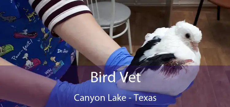 Bird Vet Canyon Lake - Texas