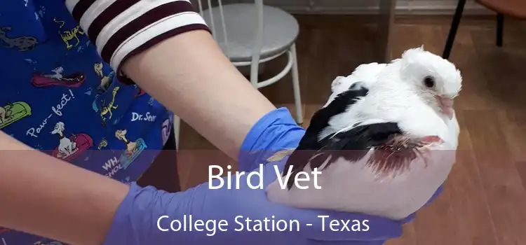 Bird Vet College Station - Texas