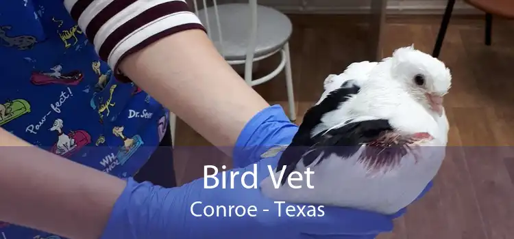 Bird Vet Conroe - Texas