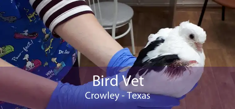 Bird Vet Crowley - Texas