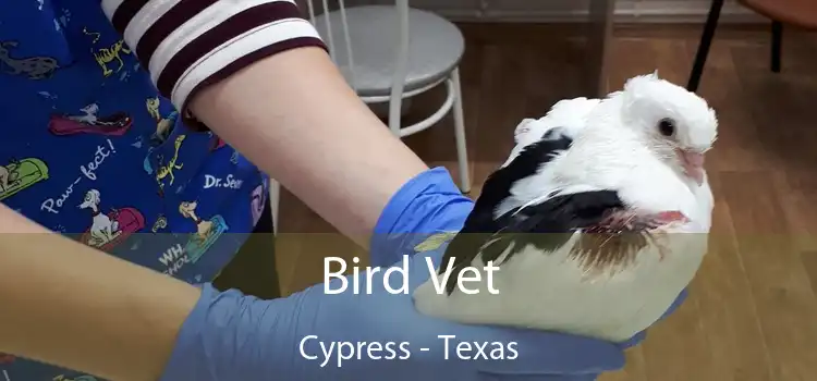 Bird Vet Cypress - Texas