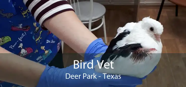 Bird Vet Deer Park - Texas