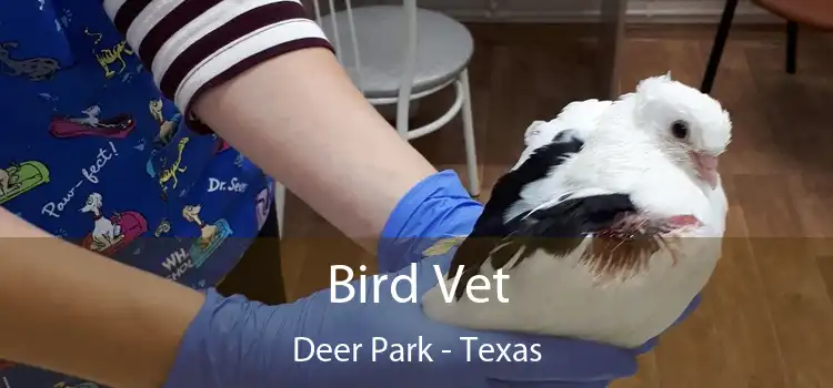 Bird Vet Deer Park - Texas