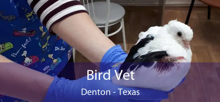 Bird Vet Denton - Texas