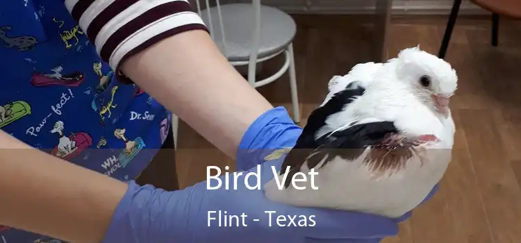 Bird Vet Flint - Texas