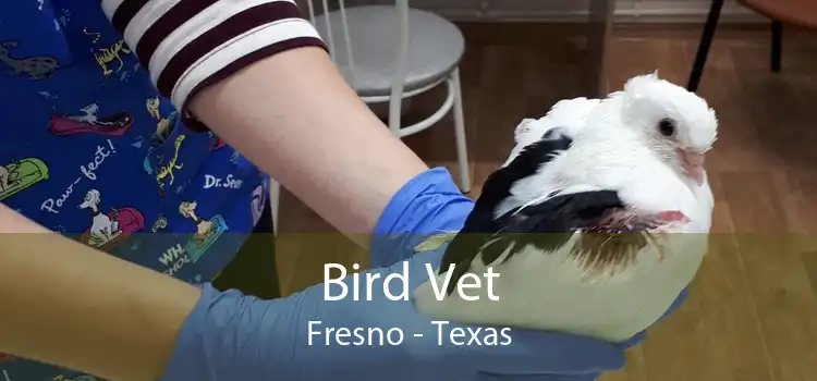 Bird Vet Fresno - Texas