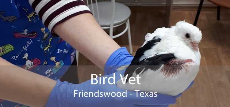 Bird Vet Friendswood - Texas
