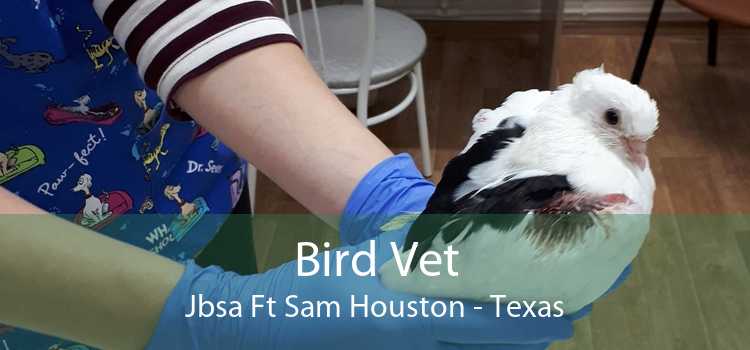 Bird Vet Jbsa Ft Sam Houston - Texas