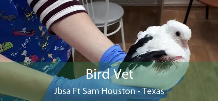 Bird Vet Jbsa Ft Sam Houston - Texas