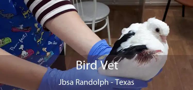 Bird Vet Jbsa Randolph - Texas