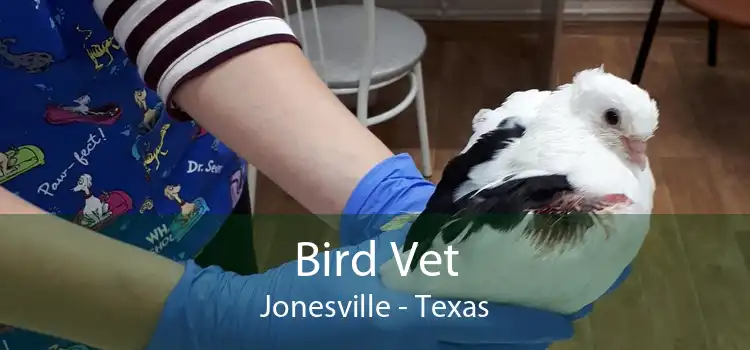 Bird Vet Jonesville - Texas