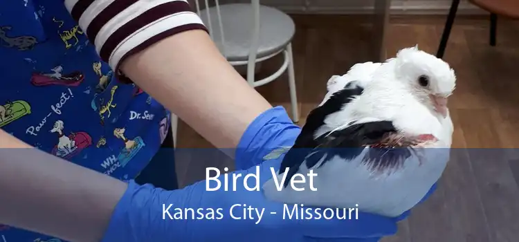 Bird Vet Kansas City - Missouri