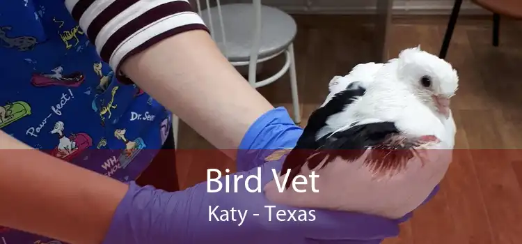 Bird Vet Katy - Texas