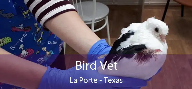 Bird Vet La Porte - Texas