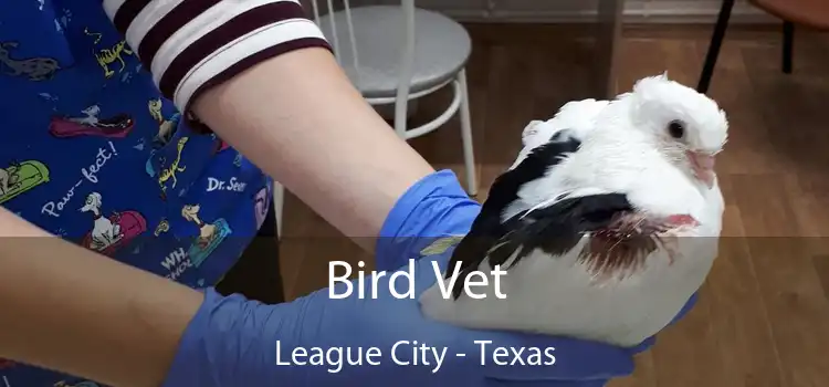 Bird Vet League City - Texas