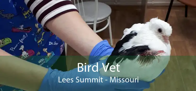 Bird Vet Lees Summit - Missouri